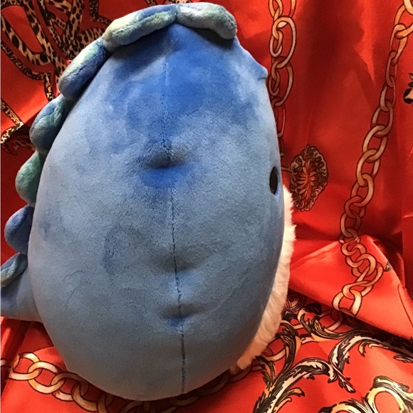 BRODY Squish date 01-17-2023. 8” - Picture 3 of 7